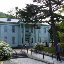 白いツツジが咲く