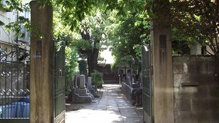 「保存樹・くすのき」や「高橋泥舟之墓」などがある緑豊かな寺院です