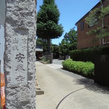 五日市街道に面しています