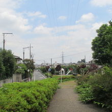 碑の正面の景色