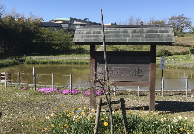 親鸞ゆかりの池