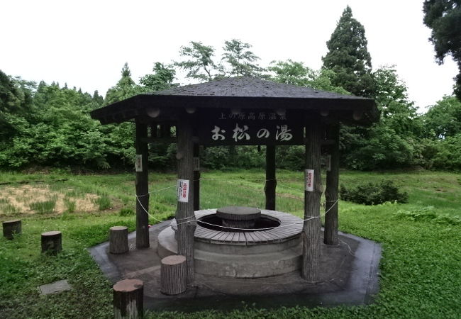 上の原公園 お松の池