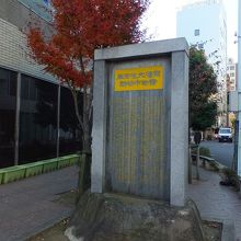 やや大きいのと黄色とで目立ちます。