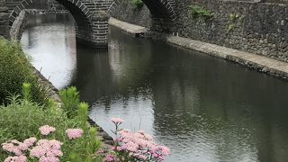 紫陽花とコラボレーション