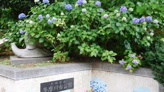 あじさいの名所