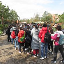 ソアリング オーバー ザ ホライズン (翔翔飛越地平線)