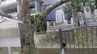 ２人とも有名ですので一見の価値はあるかも