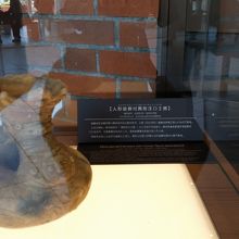 発掘されたもの