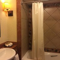 シャワーのお湯はたっぷり出ました。