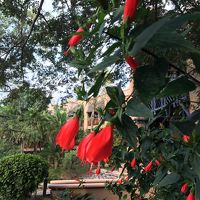 敷地が広いです。