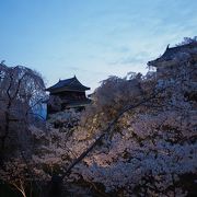 六文銭が見下ろす真田の桜祭り