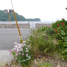 港のほとりの家々にはさまざまな花が植えられていました。