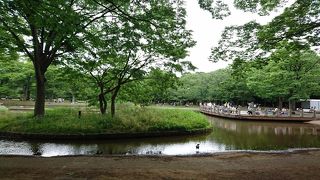 都心にある広い公園。