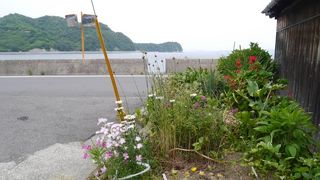 とびしま海道でつながる島。