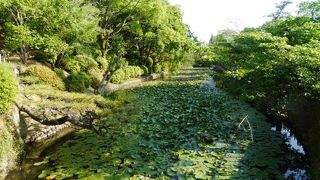 散策しがいがある。