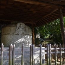 どっしりしてる。