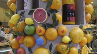 みかんの木がある。