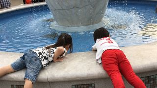 ファミリーで楽しみました(^^)