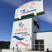 工場から少し離れた場所で、"流下式枝条架併用塩田"を見学できます。