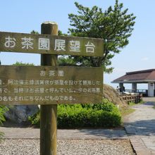 鳴門海峡を望みます