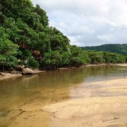 白い砂地の干潟