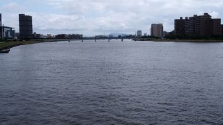 新潟市街地を流れている
