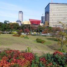 奥に見える建物は市役所です