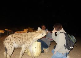 ハラール ジャゴル要塞歴史都市