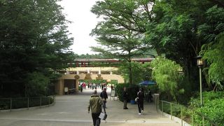 かわいい汽笛を鳴らしながら通過