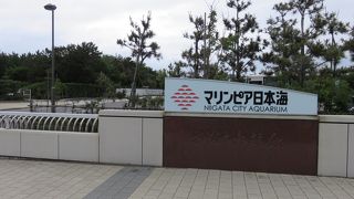 生態も観察・・・