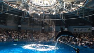 展示の仕方が素敵な水族館