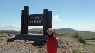 平原には牛の放牧