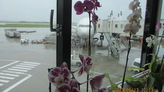 土産物が揃っていた