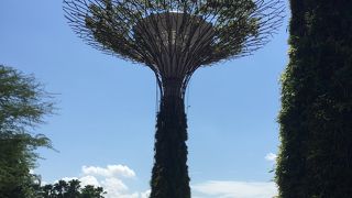 無料エリアだけでも楽しい。