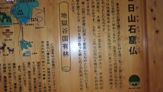 春日山原始林を歩きました