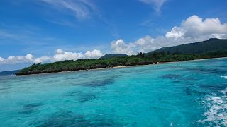 ニモ、海亀に会えます