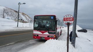 宗谷岬まで行きました