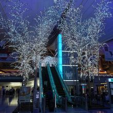 イルミネーション。