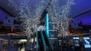 イルミネーションが幻想的