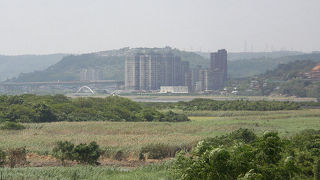 ハッカチョウを見てきました。