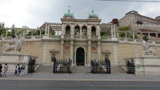 左右非対称のライオン