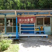 隠れた名店！鶏飯&そばは絶品★