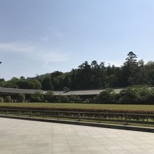 回廊・・時間があったらノンビリ散策をお勧めいたします