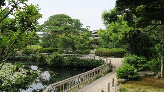 小さな綺麗な庭園