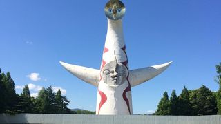 とっても広い公園。施設が充実していて楽しかった☆