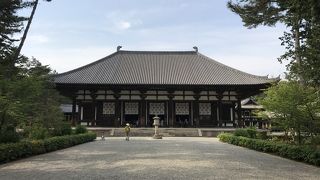 静かな時間帯には癒される境内の参道・・心が落ち着きます。