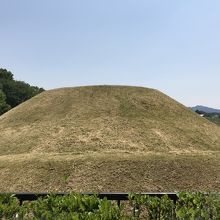 近くを一周できます