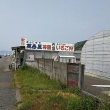 主要道路の近くの