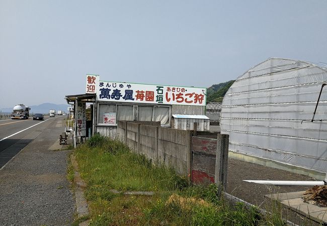 いちご狩り海岸通り クチコミ アクセス 営業時間 静岡市 葵区 駿河区 フォートラベル