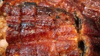 銀座店が美味しいです！